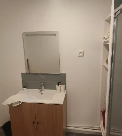 Grand Proche De Paris * Saint-Maur-des-Fossés