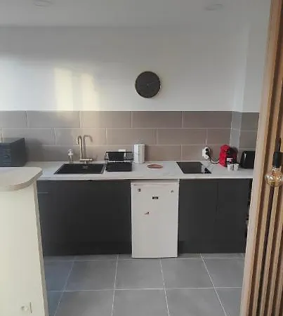 Apartment Grand Proche De Paris Saint-Maur-des-Fosses